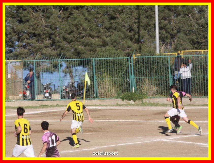 190310 Cephal_Torrenov 165_tn.jpg